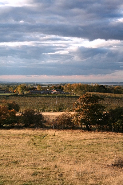Hernhill Primary School.jpg